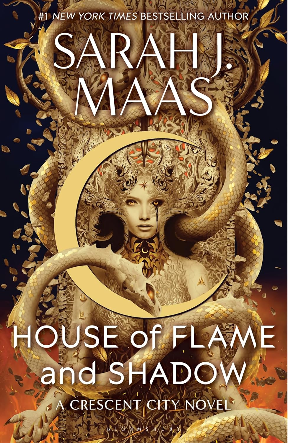 Cover of House of Flame and Shadow