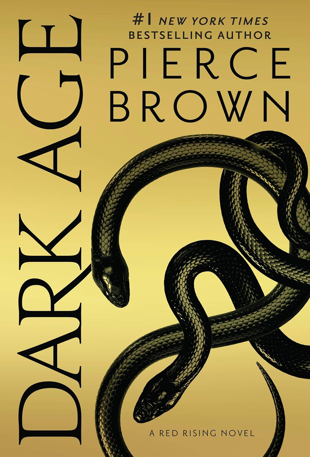 Cover of Dark Age